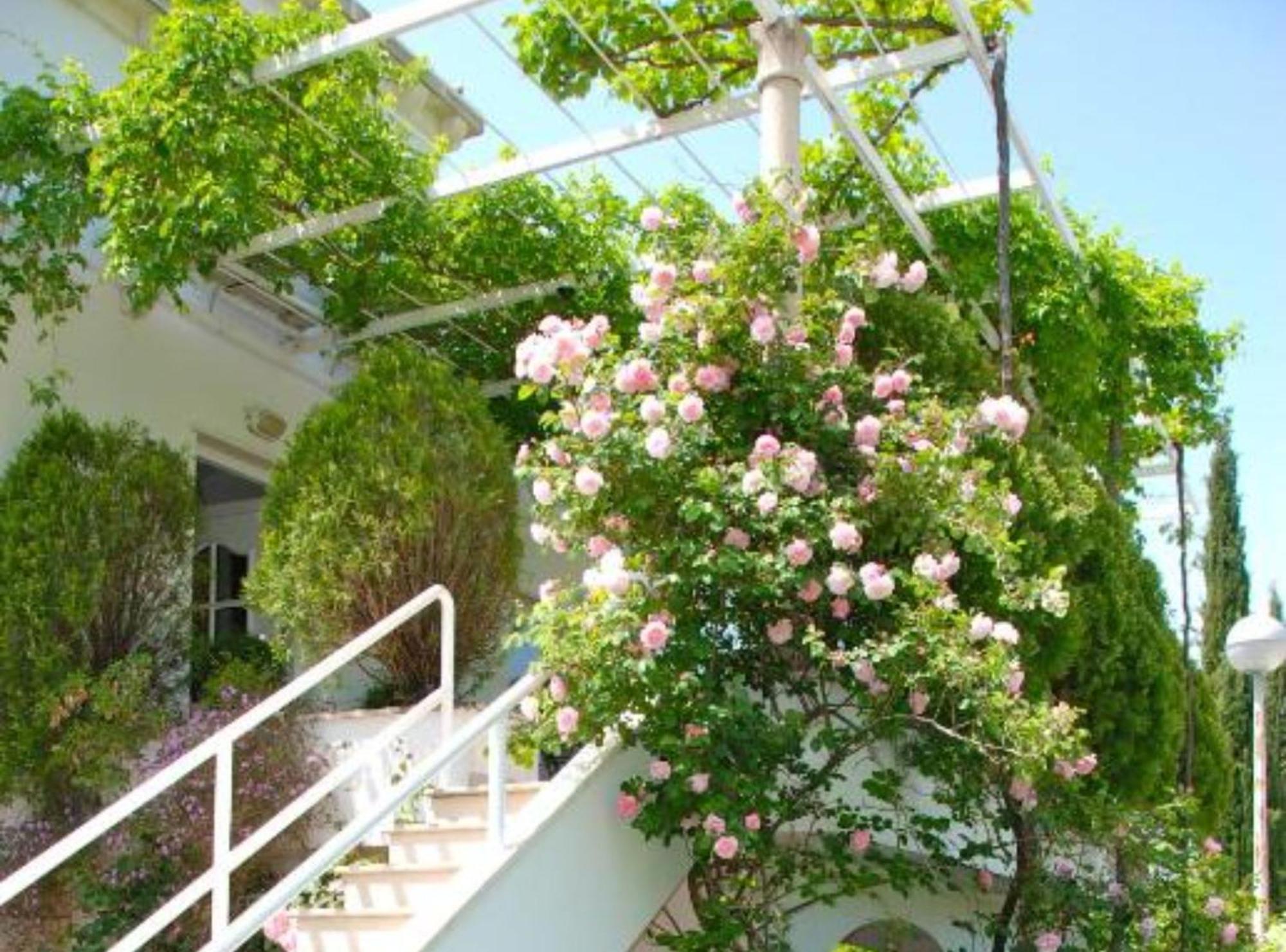 Villa Mediterranea Mlini Bagian luar foto